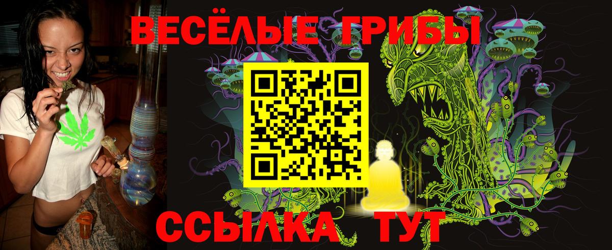 Псилоцибиновые грибы Cubensis  что такое   Гуково  Вход с VPN  Галлюциногенные грибы Magic Shrooms 
