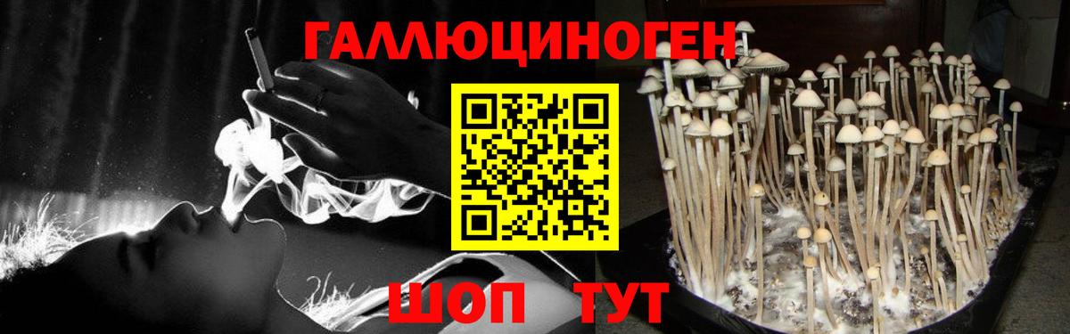 Псилоцибиновые грибы мухоморы Гуково